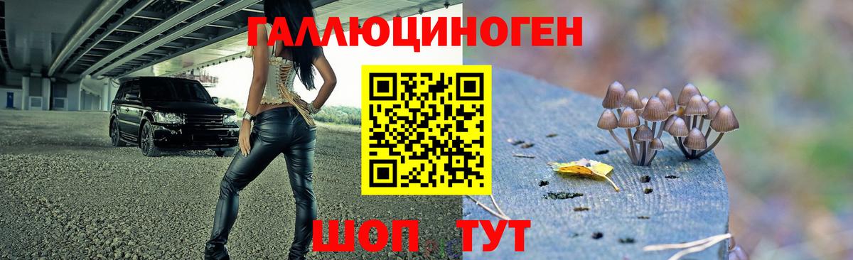 Галлюциногенные грибы мицелий  Вход с VPN  Урус-Мартан 